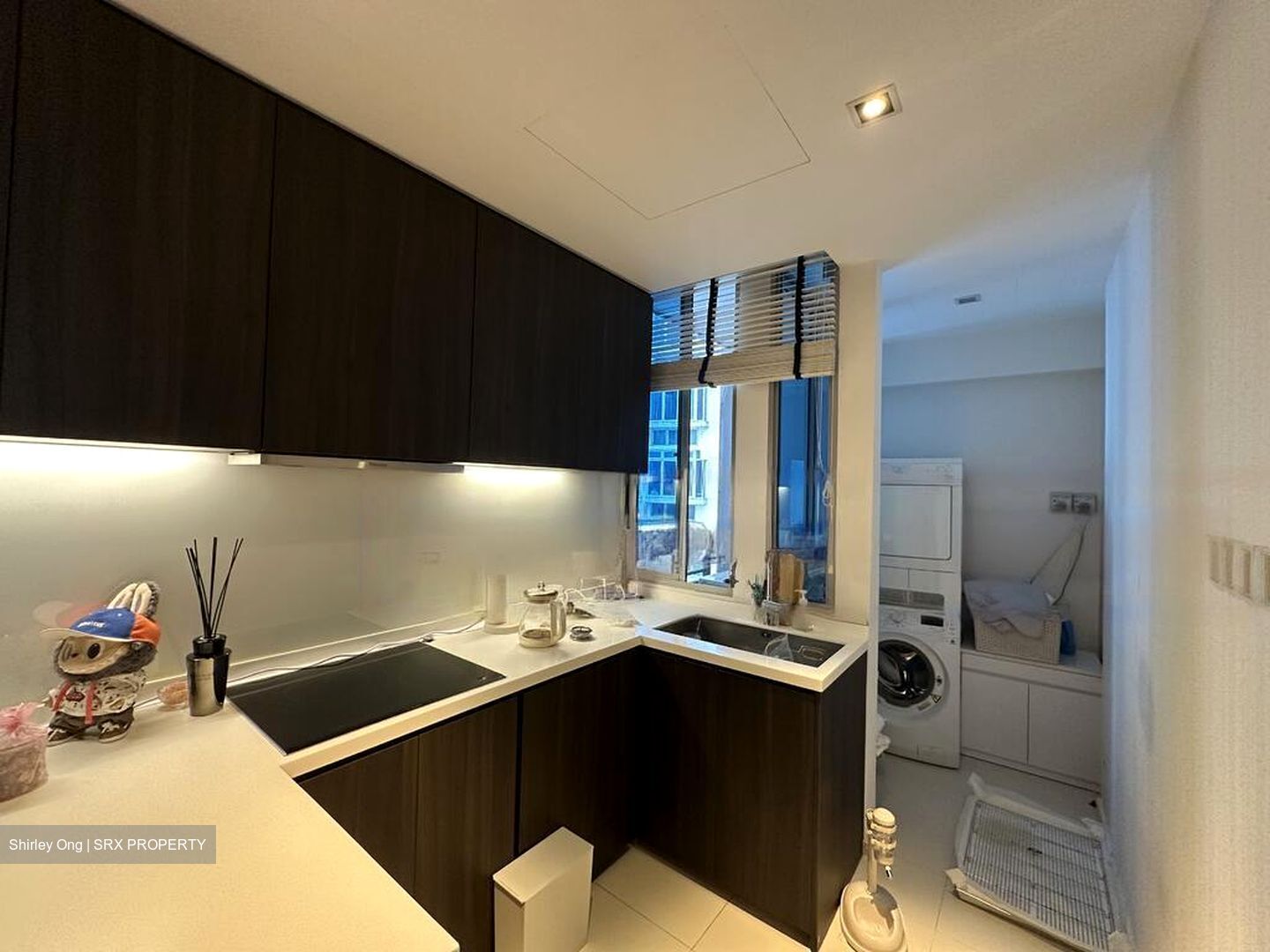 Cairnhill Crest (D9), Condominium #447691451